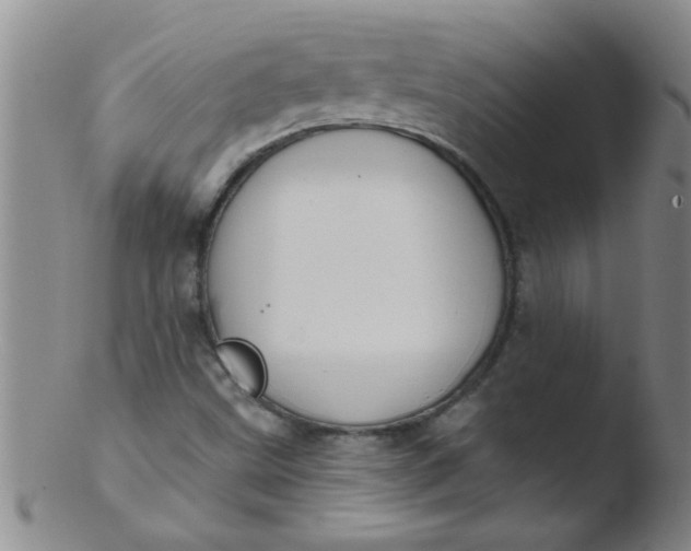 X0000103491499200809261938