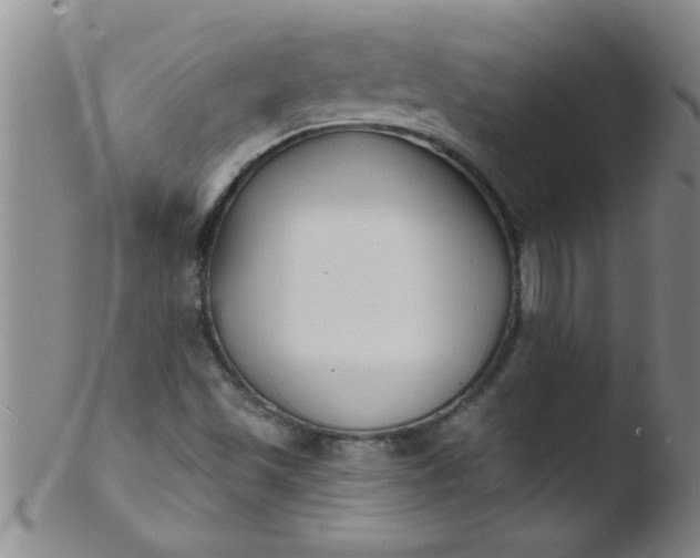 X0000103491501200809261938