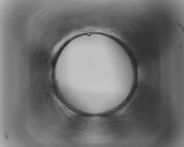 X0000103491502200809261938