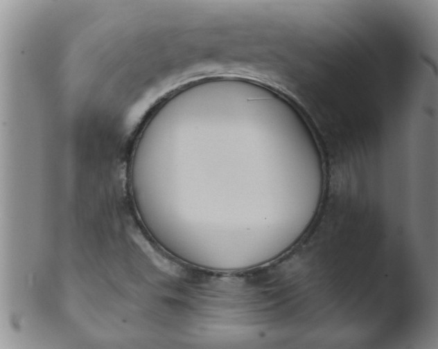 X0000103491503200809261938