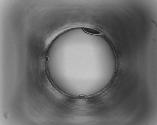 X0000103491504200809261938