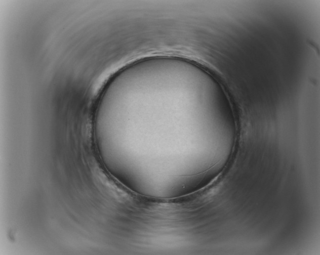 X0000103491506200809261938