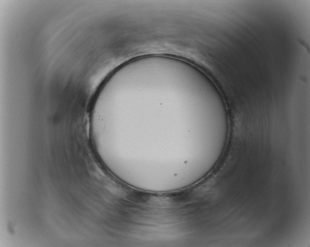 X0000103491509200809261938