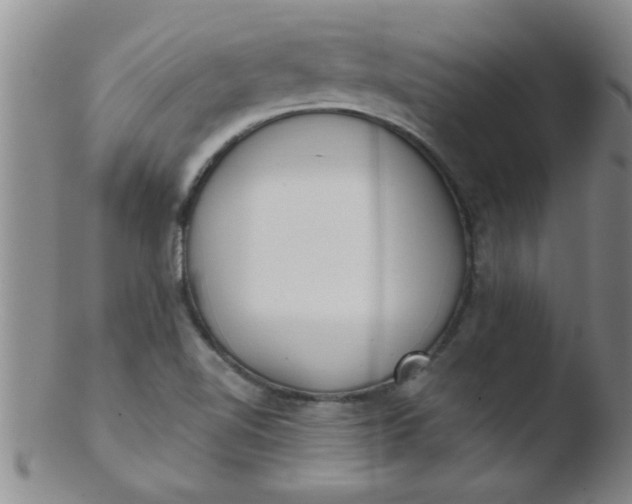 X0000103491510200809261938