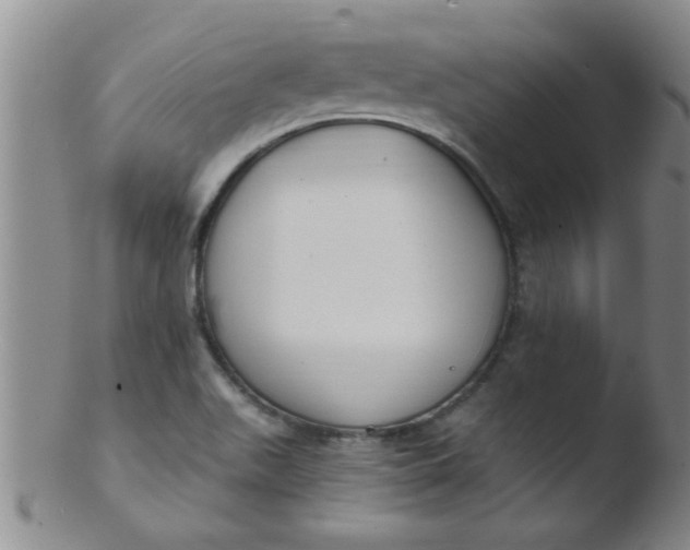 X0000103491511200809261938