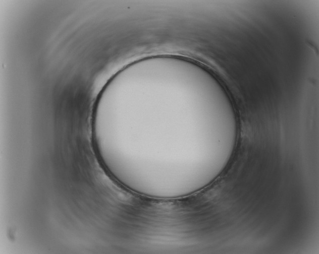 X0000103491512200809261938