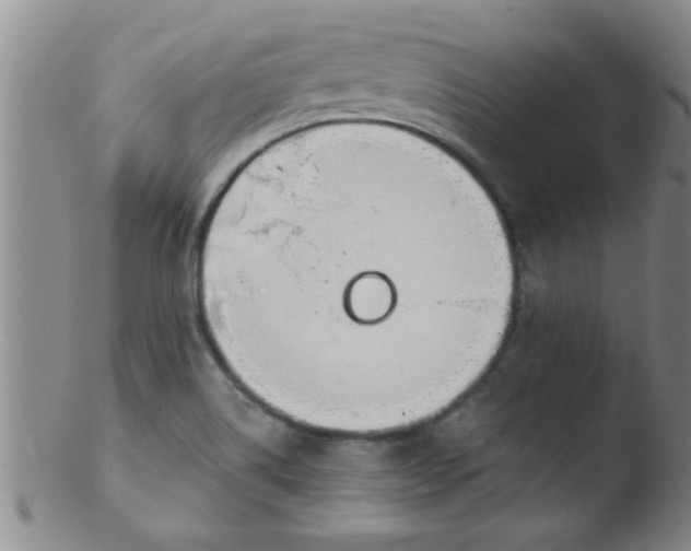 X0000103491514200809261938