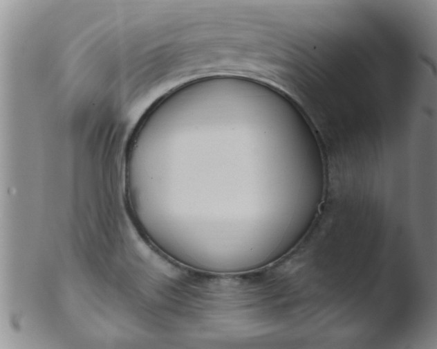 X0000103491515200809261938