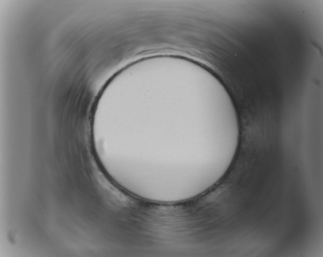 X0000103491518200809261938