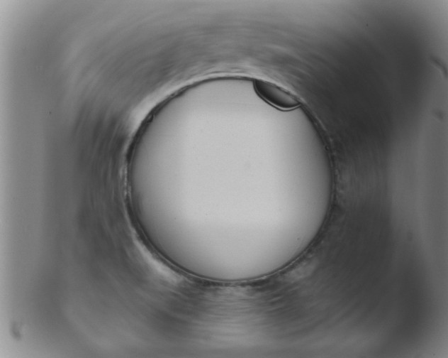 X0000103491519200809261938