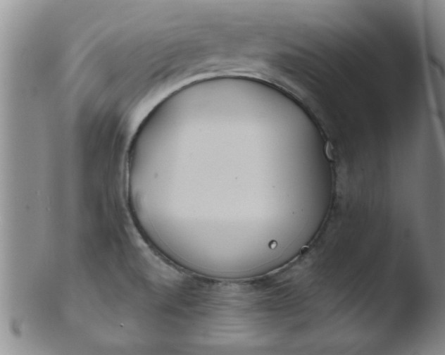 X0000103491520200809261938