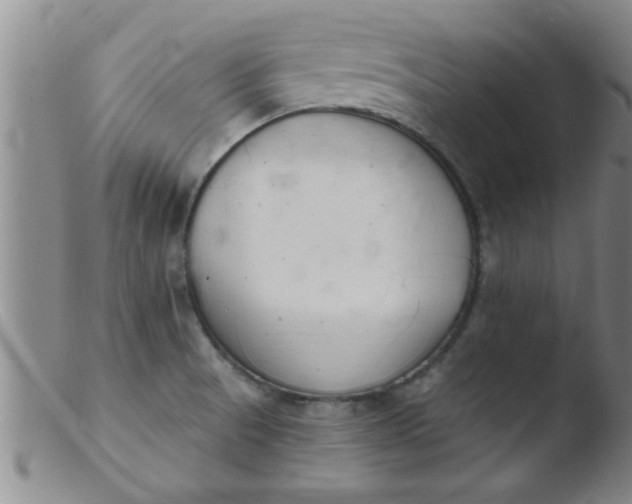 X0000103491521200809261938