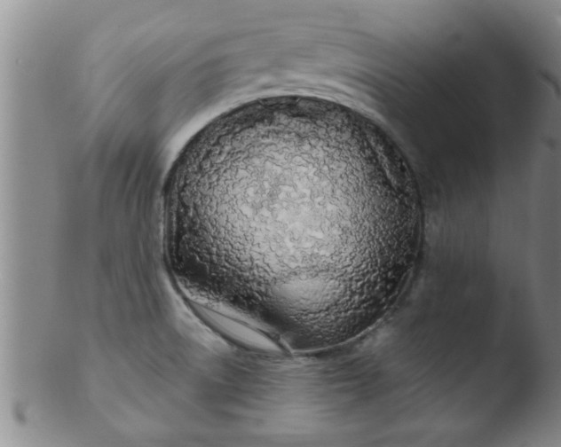 X0000103491522200809261938