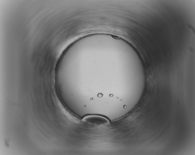 X0000103491523200809261938