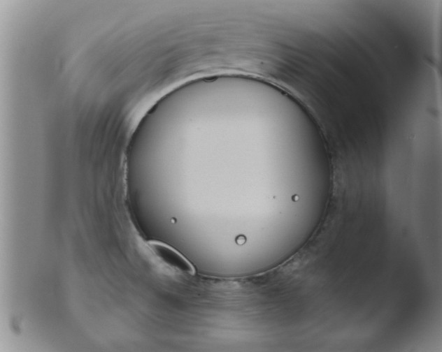 X0000103491524200809261938