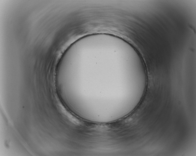 X0000103491525200809261938