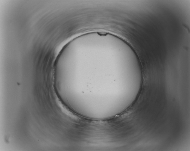 X0000103491526200809261938