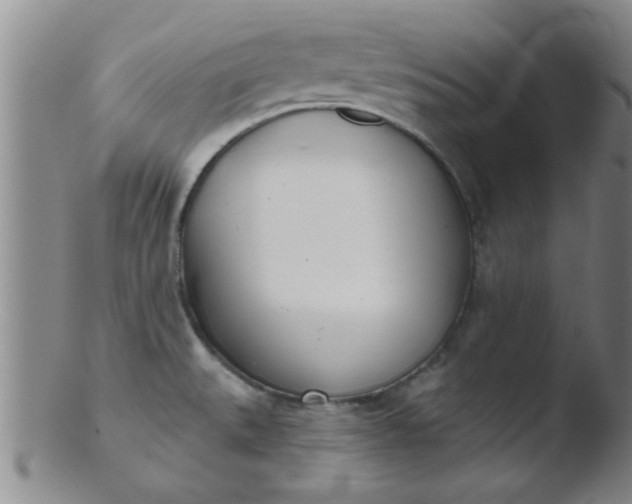 X0000103491527200809261938