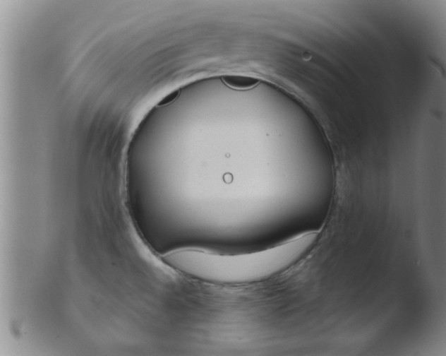 X0000103491528200809261939