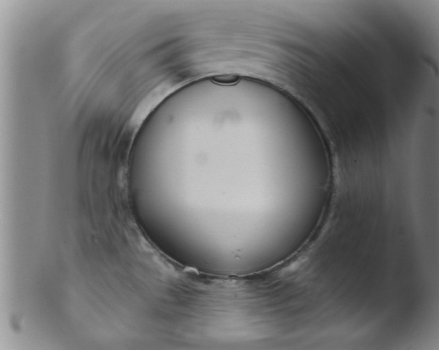 X0000103491529200809261939