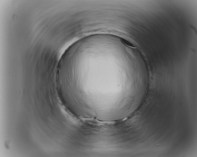 X0000103491530200809261939