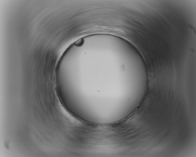 X0000103491531200809261939