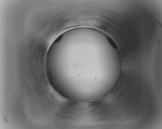 X0000103491532200809261939