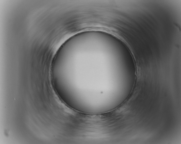 X0000103491533200809261939