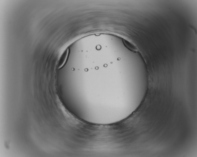 X0000103491534200809261939