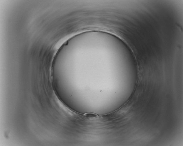 X0000103491535200809261939