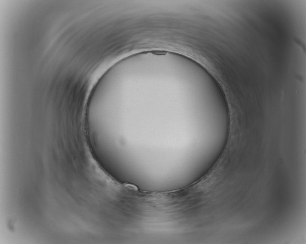 X0000103491536200809261939