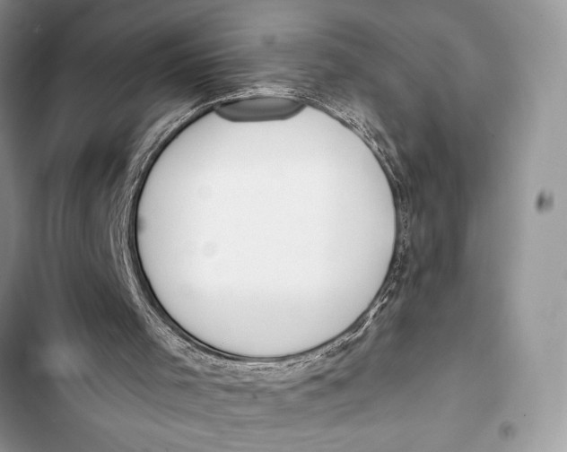 X0000103490001200810031616