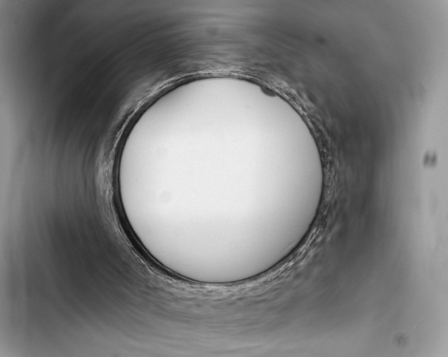 X0000103490002200810031616