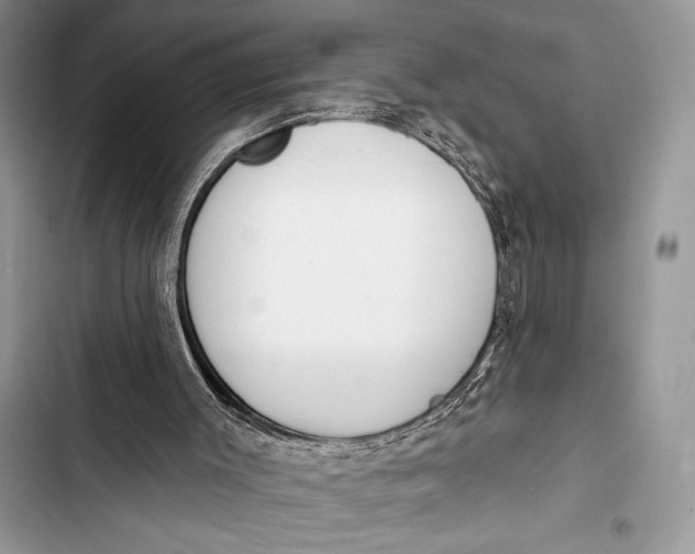 X0000103490003200810031616