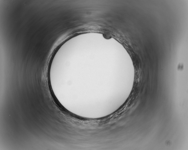 X0000103490004200810031616