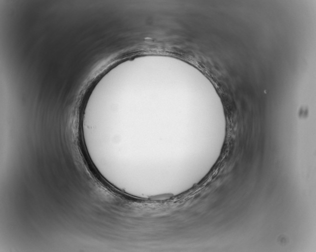 X0000103490005200810031616