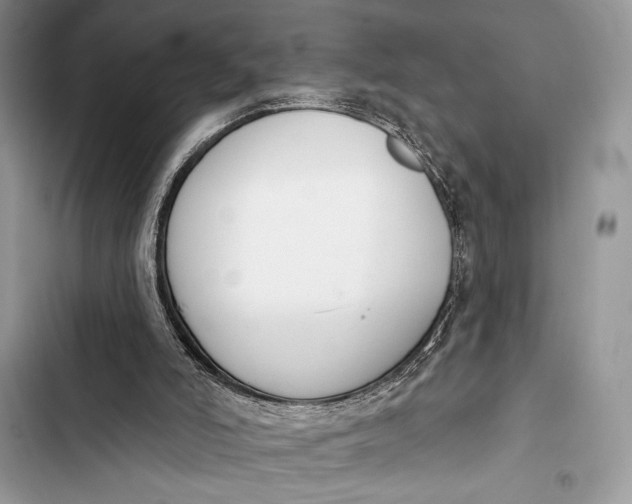 X0000103490006200810031616