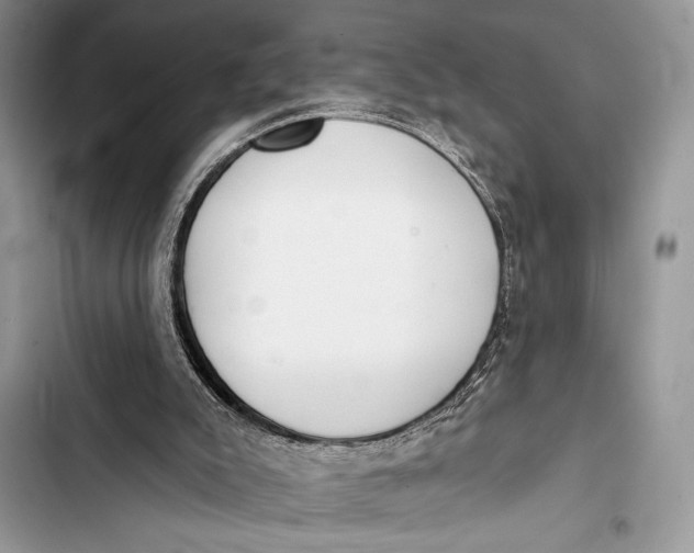 X0000103490007200810031616