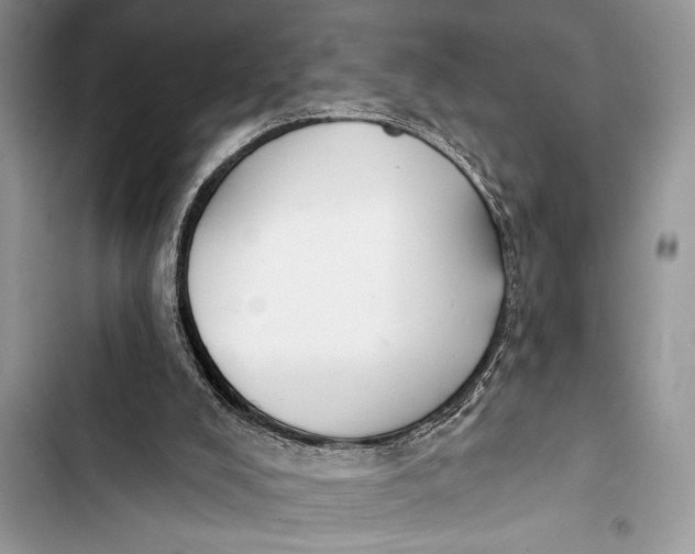 X0000103490008200810031616