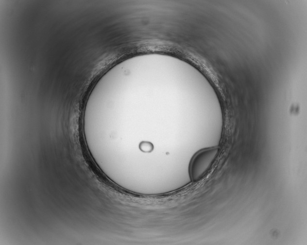 X0000103490010200810031616