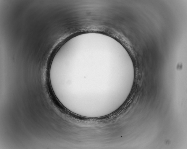 X0000103490012200810031616