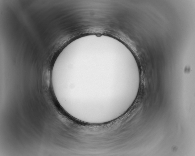 X0000103490013200810031616