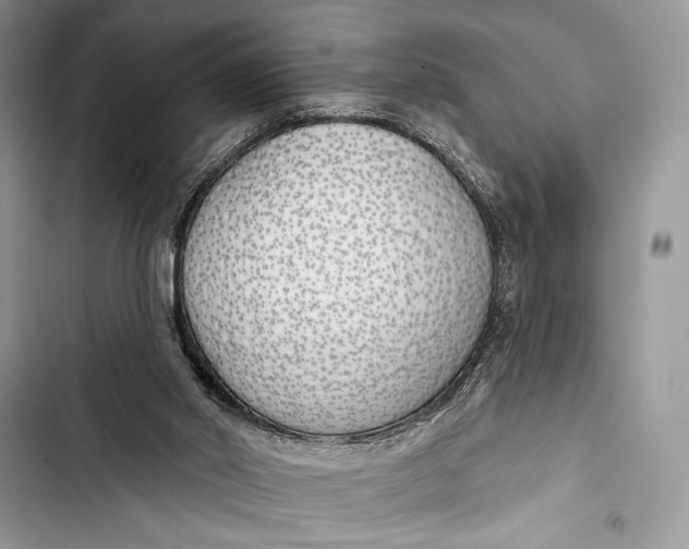 X0000103490014200810031616