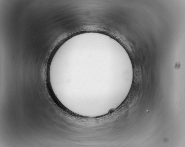 X0000103490015200810031616