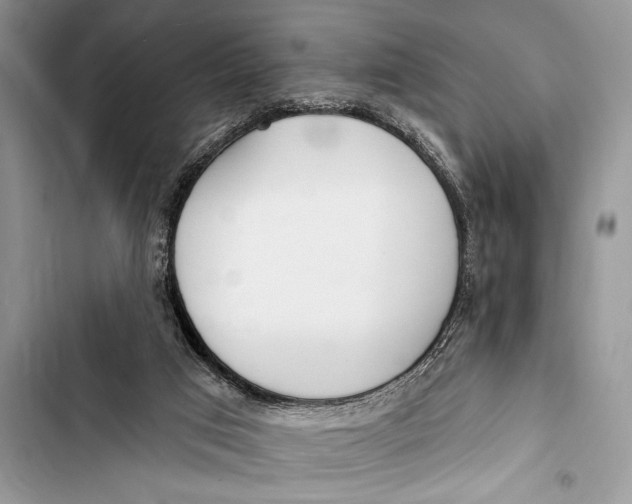 X0000103490017200810031616