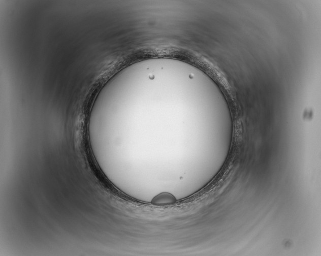 X0000103490018200810031616