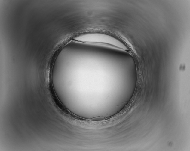 X0000103490019200810031616