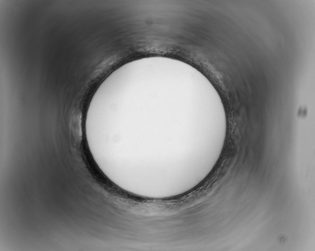 X0000103490020200810031616