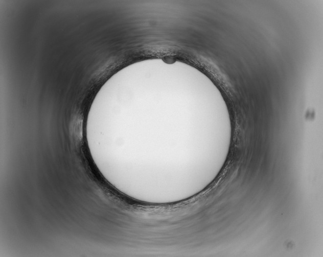 X0000103490021200810031616