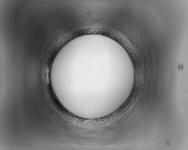 X0000103490022200810031616